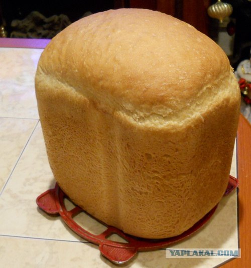 Хлеб