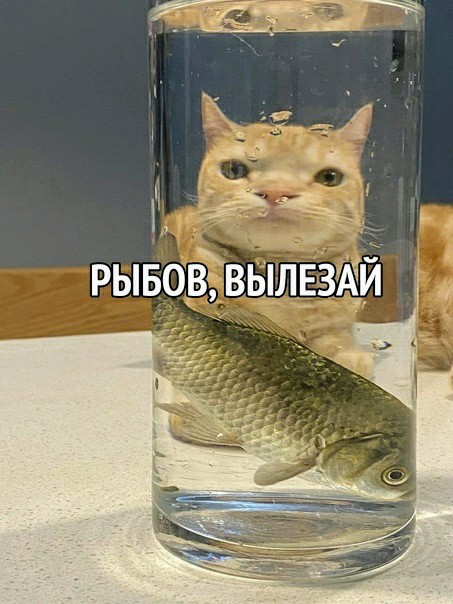 Картинки и мемы, всем прекрасных выходных