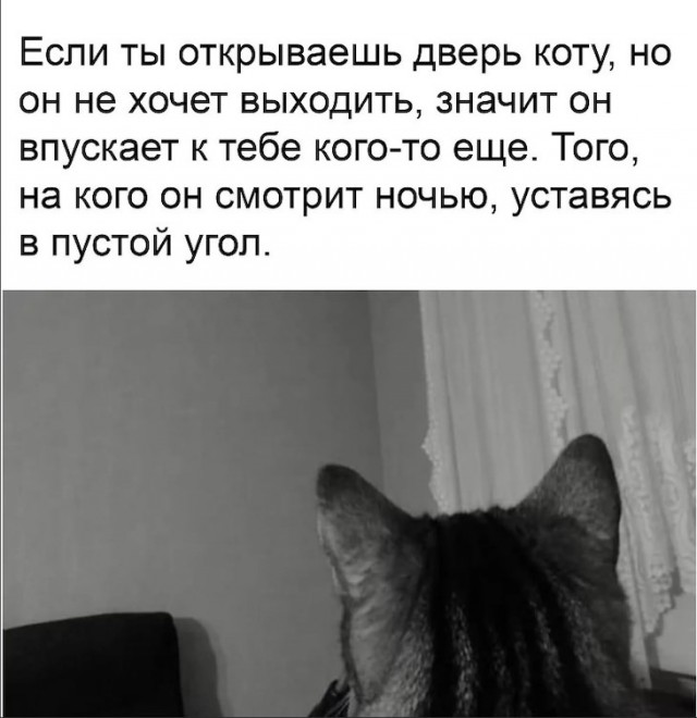 Картинки и мемы для настроения 06.10.2021