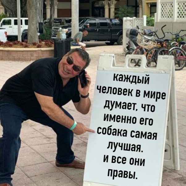 Картинки и мемы для настроения 13.10.2021