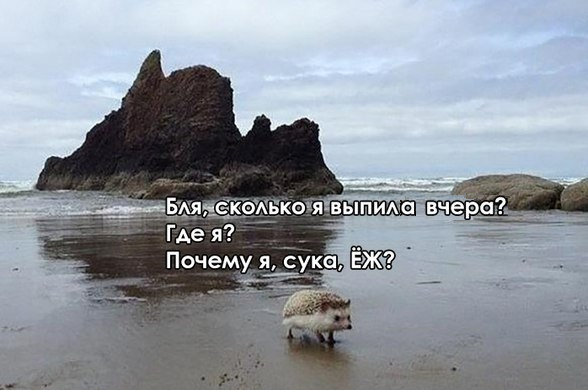Пандемия. Коронавирус. Россия и мир. Последняя информация. Часть 25