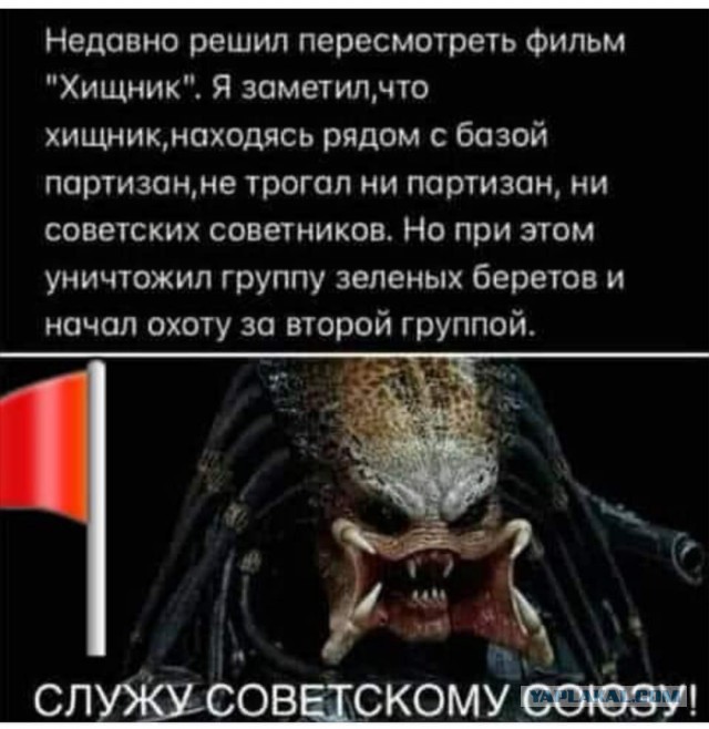 Всяческие картинки 26.11.2021