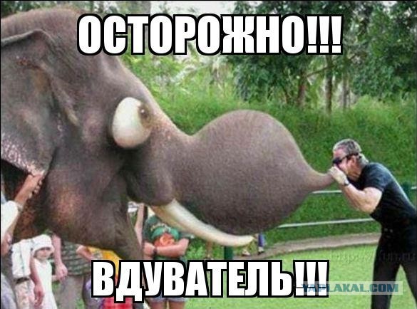Крик души