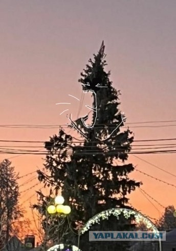 Кольчугинская елка претендует на звание анти-символа Нового года