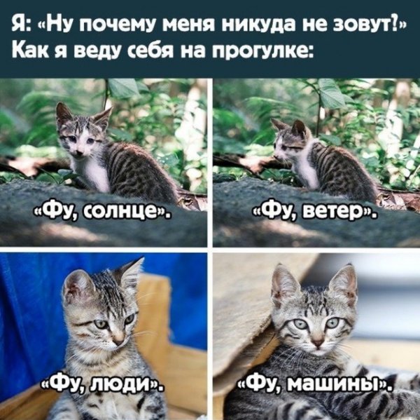 Баянисто-небаянистый юмор 4.03.22