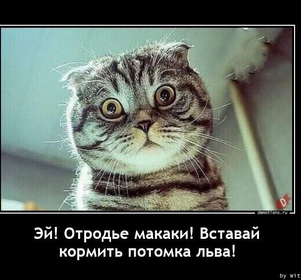 Не делает куни муж? Сделает сосед