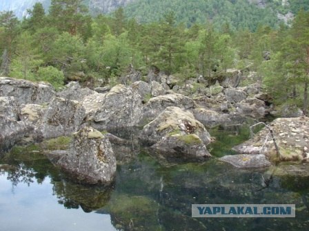 Деревня в которой я живу