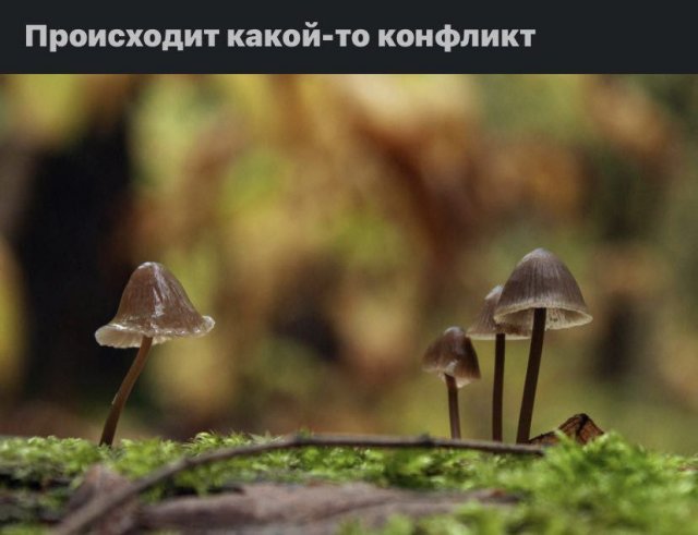 Картинки и мемы. Выходные близко...