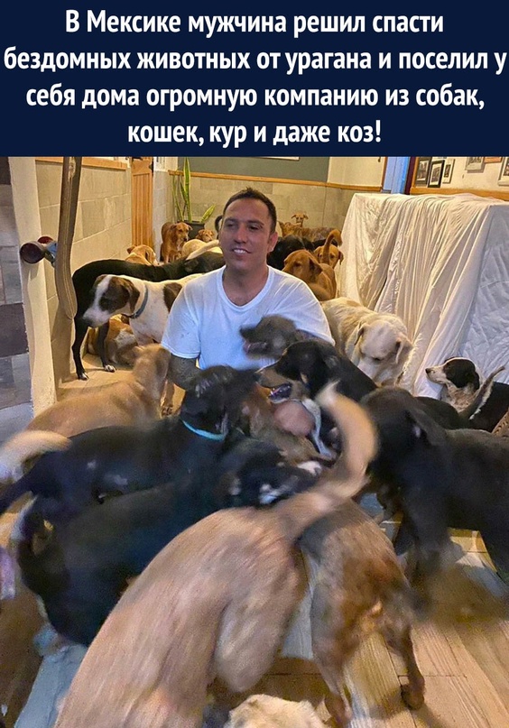 Немного картинок для настроения - 135