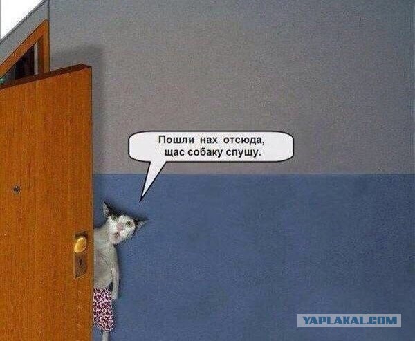 Пришло второе сообщение на пейджер