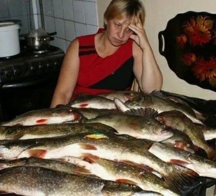 Хищник