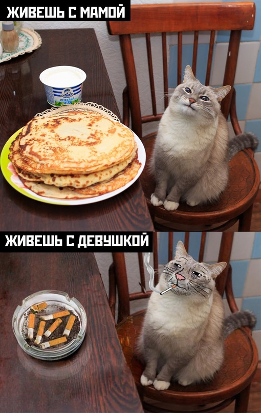 Весёлый полтишок 12.07 23