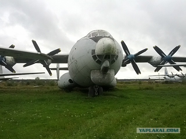 Монино