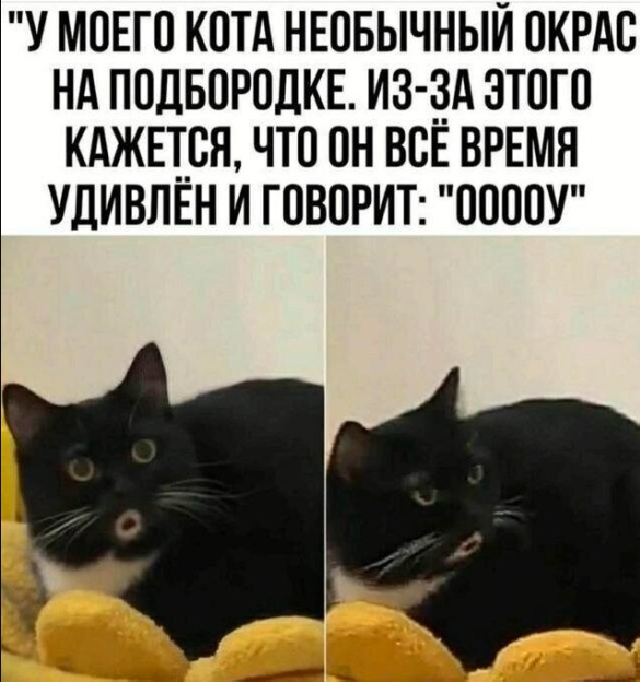 Всего понемногу. От 28.11.23