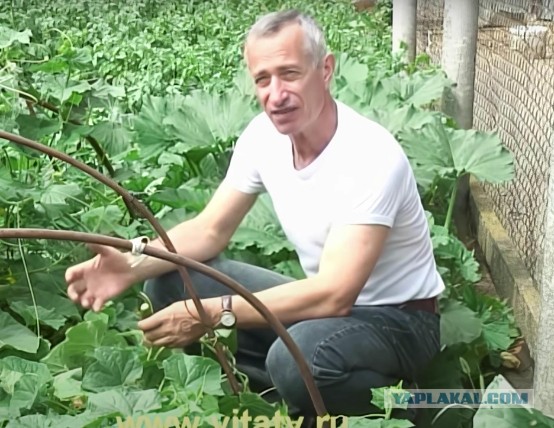 Как я избавился от зависимости от капель