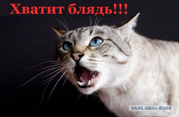 Родиться в Северной Корее