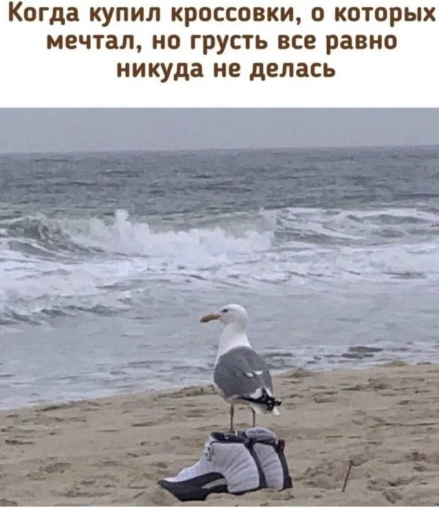 Тлидцать тли от 19 февлаля