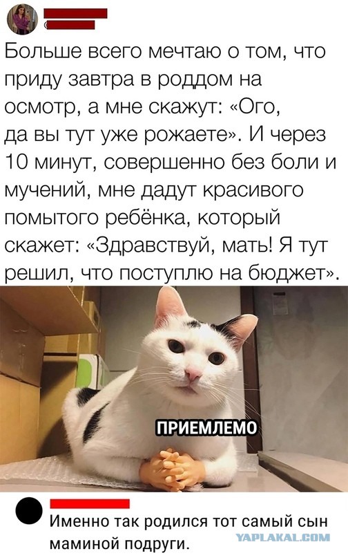 Ответ, на тему "Рожай!" Девушки, это правда? +18