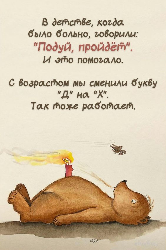 Прикольные и просто красивые картинки 08.10.2024