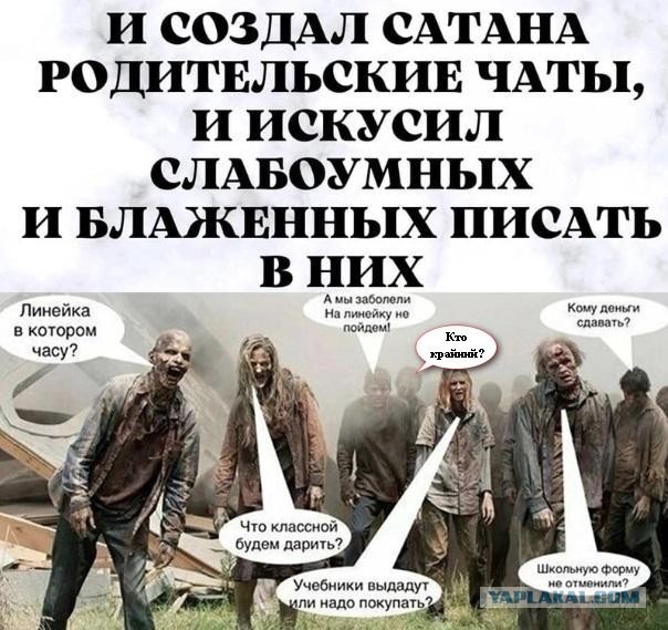 В московской гимназии родители поругались в чате, выбирая новогодние подарки для детей