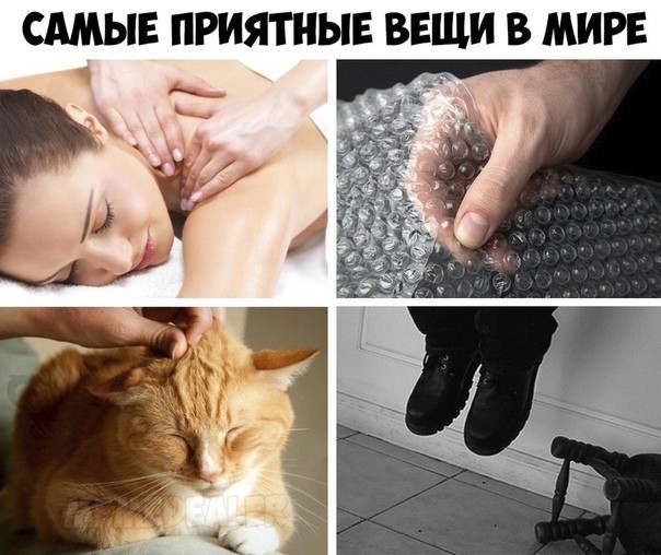 Пятничная дичь