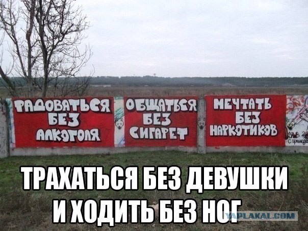 Сундук деграданта! Выпуск номер 8