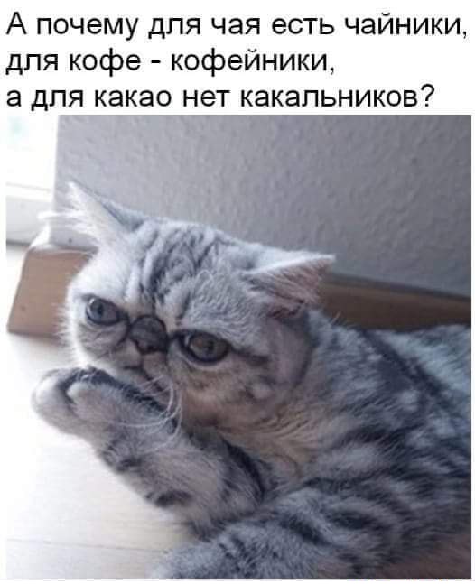 В России нашли незаблокированное приложение для онлайн-звонков.