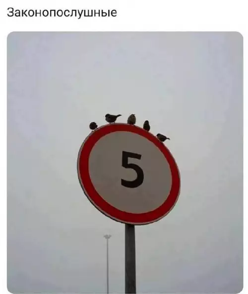 Картиночки, баянчики 04 марта