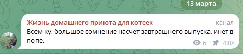 Жизнь домашнего приюта для котеек 574