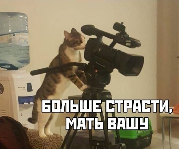 Вот это приблуда