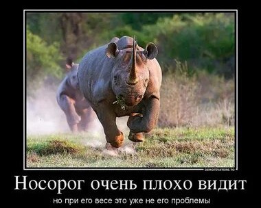 Протиснулся