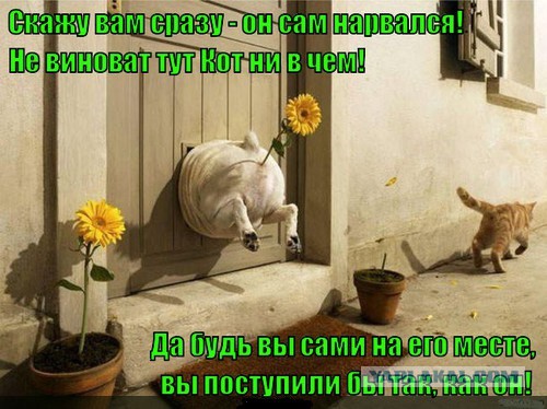 А он всё никак не угомонится...