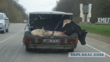 Уличные бои в Киеве