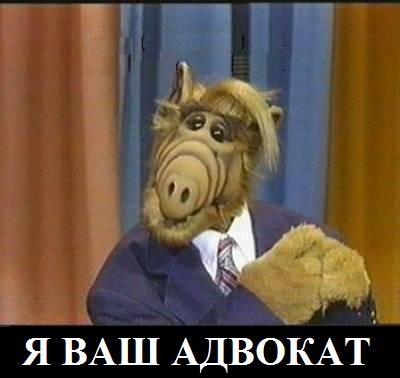 За что лапы крутите, волки позорные?!