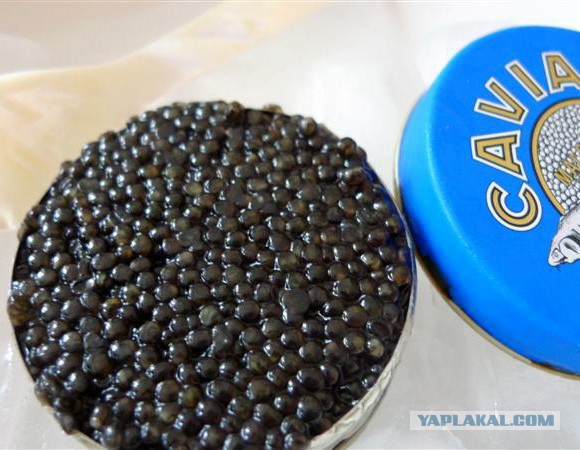 Черный волк