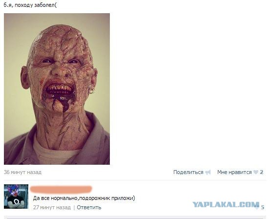 Смешные комментарии из соц. сетей