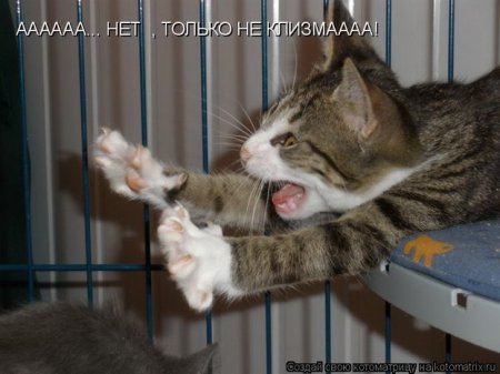 Подборка прикольных фото.