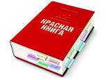 Подарочные конверты (2 шт)