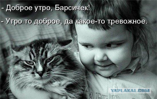 Подборка смешных картинок :)