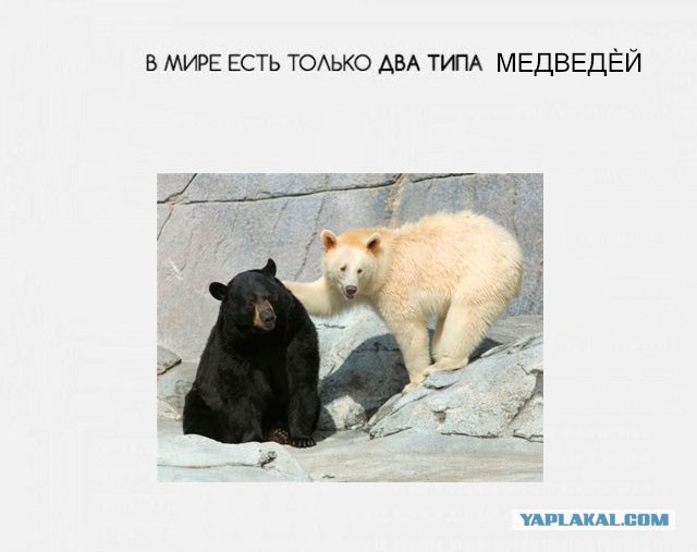 В мире есть только два типа людей