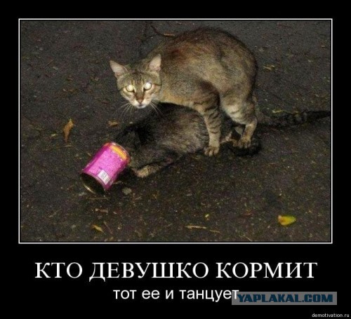 Весёлое из сети