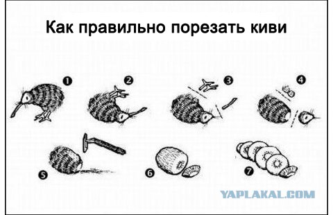 Игра слов