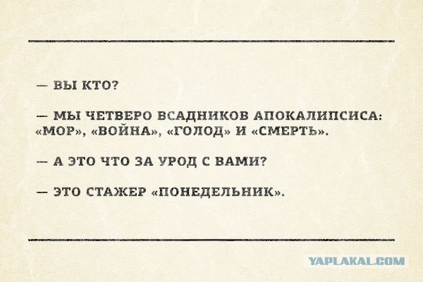 Забавные картинки из Сети