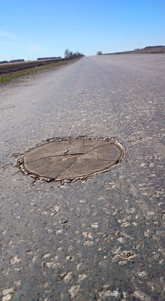 Прикольные картиночки