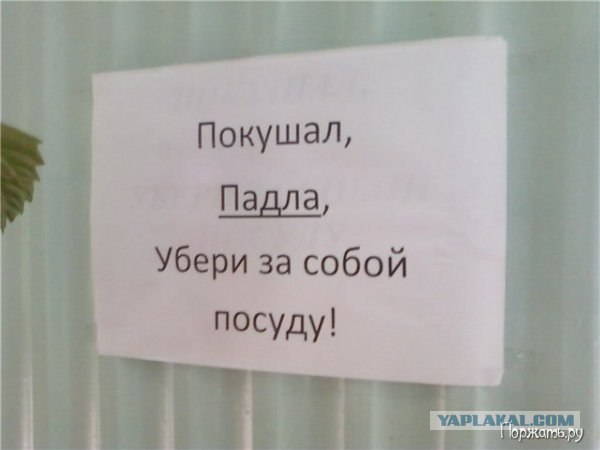 Поел убери за собой картинки распечатать