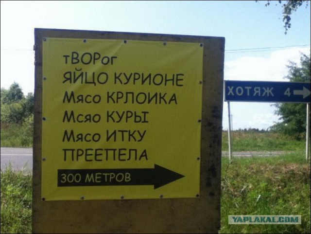 Народные перлы