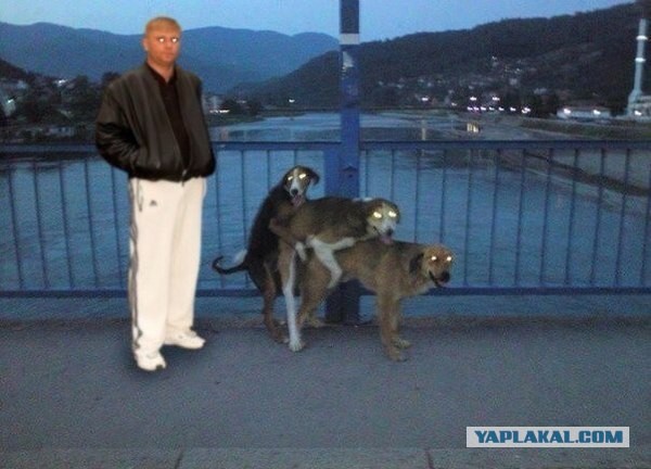 Подборка веселых картинок