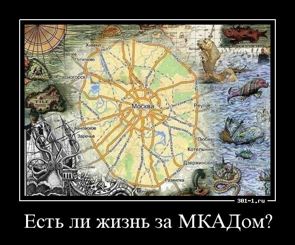 6873170.jpg