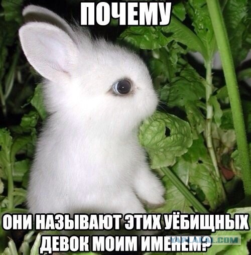 Абсурдный юмор ч.16