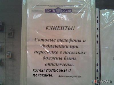 ОБЪЯВЛЕНИЯ. На стенах, в газетах, афиши.